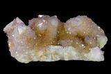 Cactus Quartz (Amethyst) Crystal Cluster - South Africa #137809-1